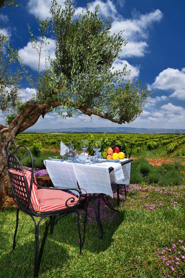 Chateau Roslane Boutique Hotel & Spa Мекнес Экстерьер фото